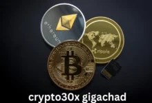 Crypto30x.com Gigachad