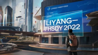 Liyang-FHSDYY202