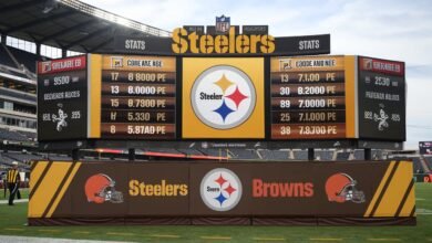 Steelers vs Cleveland Browns Match Player Stats