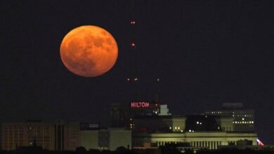 orange moon tonight